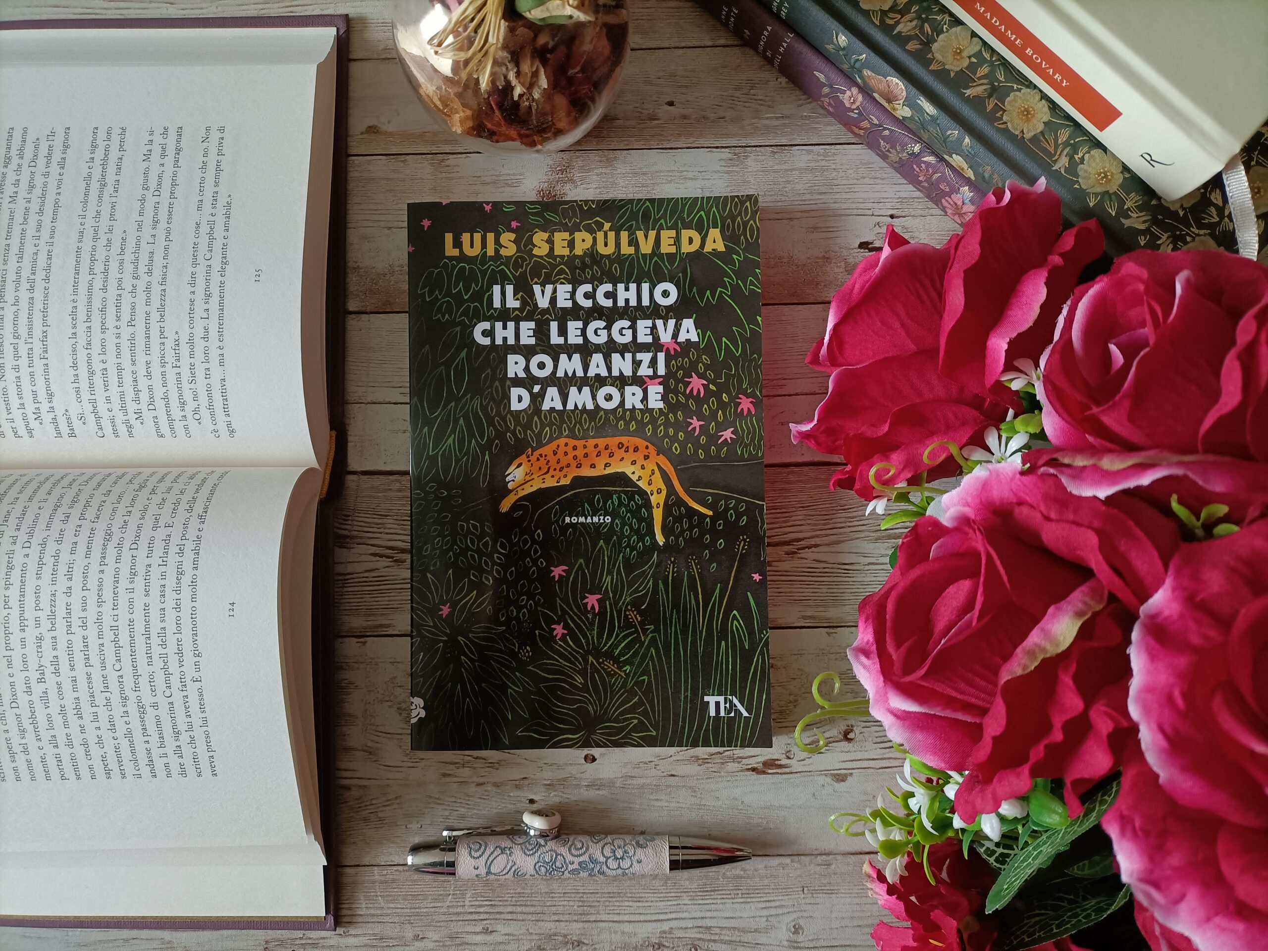“Il vecchio che leggeva romanzi d’amore” di Luis Sepulveda
